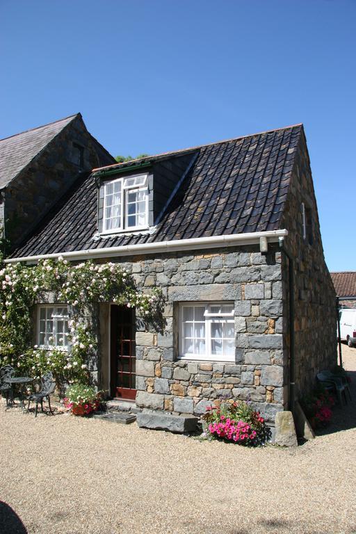 فيلا Le Douit Farm Self Catering سانت مارتن المظهر الخارجي الصورة