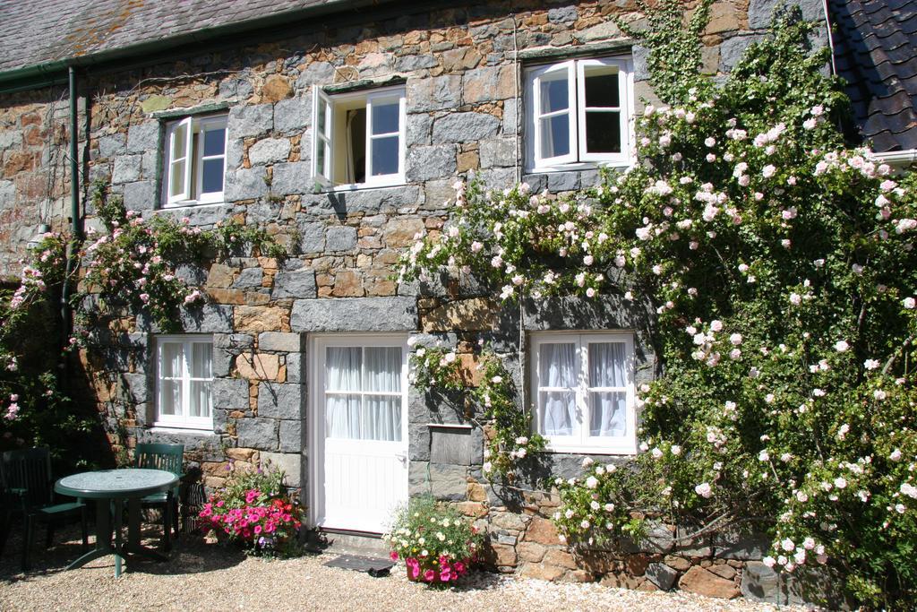 فيلا Le Douit Farm Self Catering سانت مارتن المظهر الخارجي الصورة