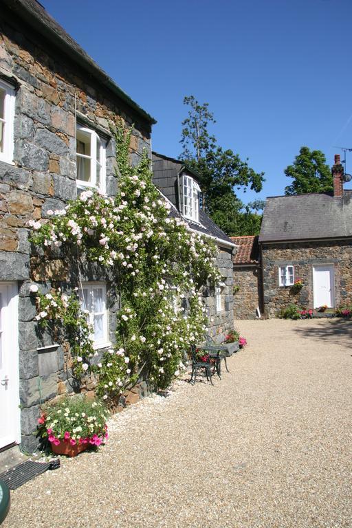 فيلا Le Douit Farm Self Catering سانت مارتن المظهر الخارجي الصورة